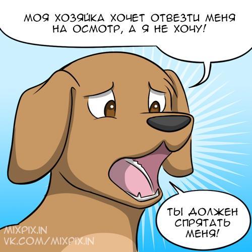 Polymorph - My, Translation, GIF with background, Kat swenski, Comics, GIF, Longpost, Dog