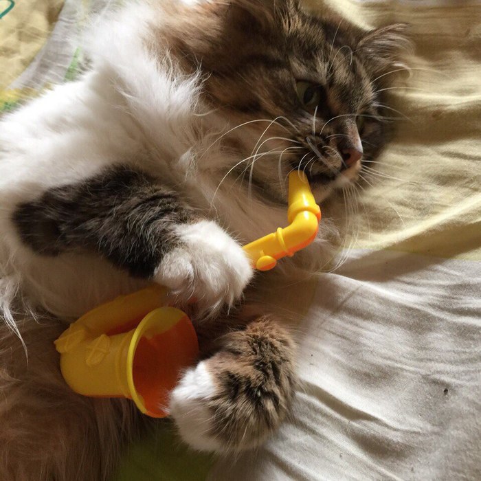 С такими запросами - в наше время нужно уметь всё