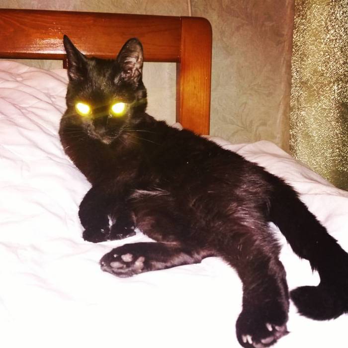 Просто мой домашний Бог.