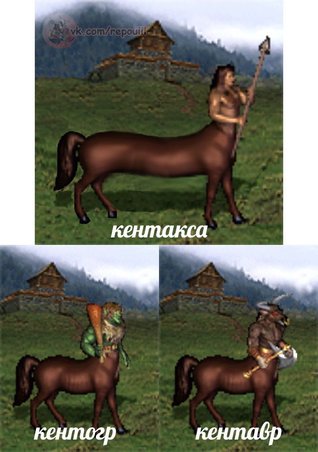 Centaurian - Centaur, HOMM III, Memes