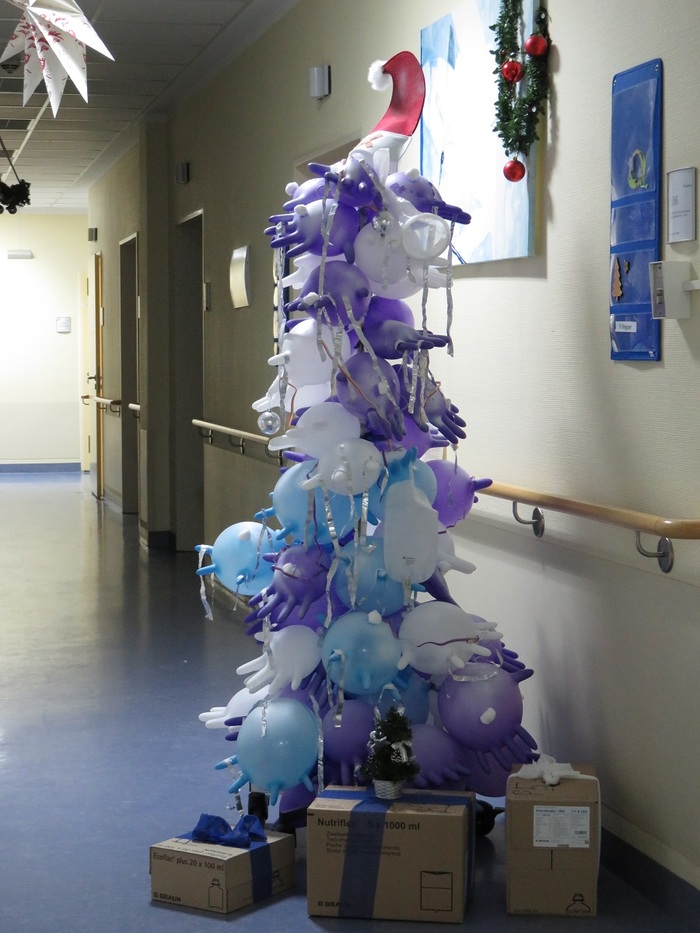 ������������ ���������