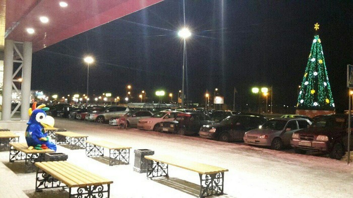 Бедный, одинокий попугай сидит у ТЦ...