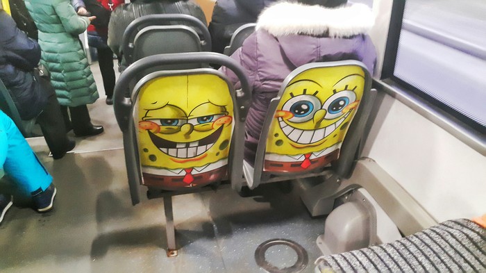 The seats are clearly up to something. - My, Bus, Seat, SpongeBob, Addiction