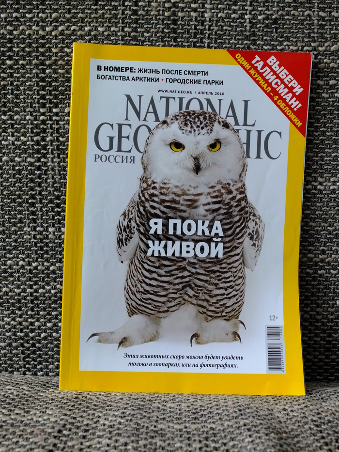     The National Geographic, Geo,  ,  , , 