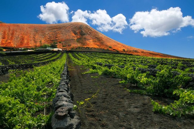 Water from air. - Story, Technologies, The science, Winemaking, Wine, , , , Longpost