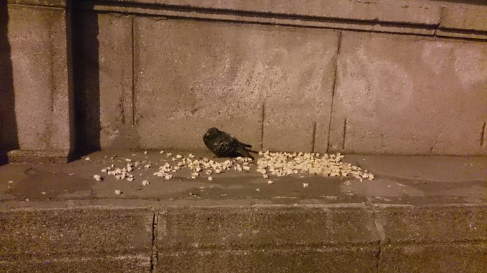 Когда только сел на диету, но обстоятельства сложились иначе