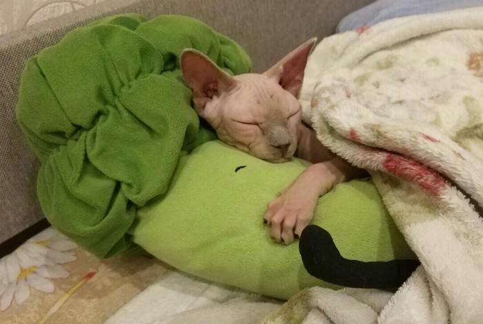 ��������[0]