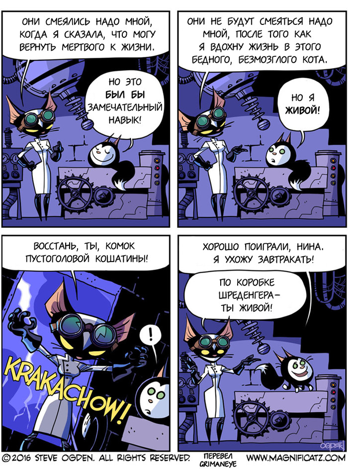 #13 ���������