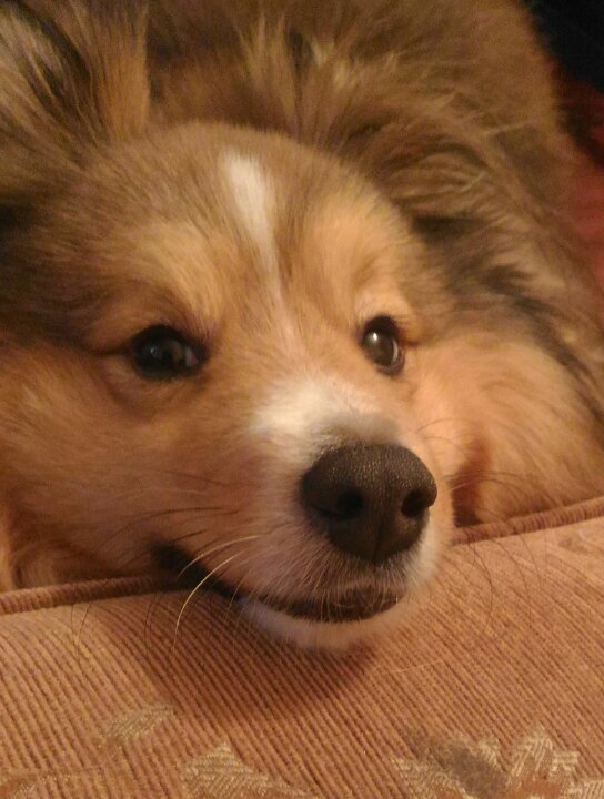 А не жрешь ли ты часом?