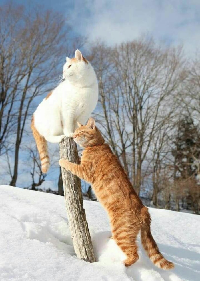 ���� ���� � � � ����� ��� (��� :) )