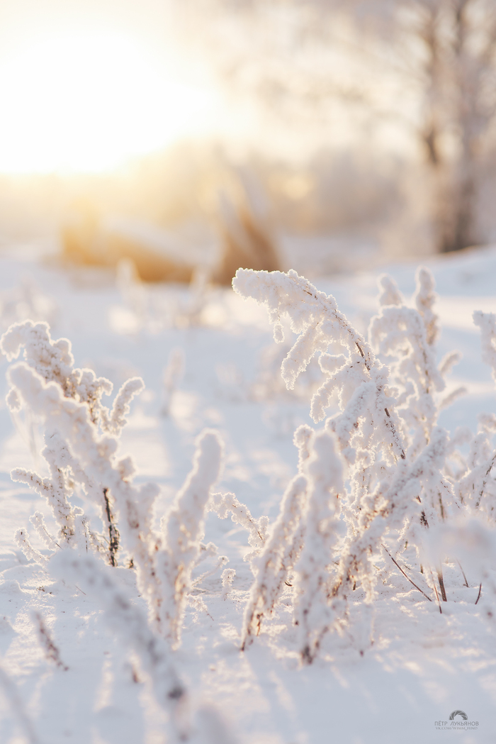 Morning. - My, The photo, The nature of Russia, Winter, Ural, Nature, Longpost