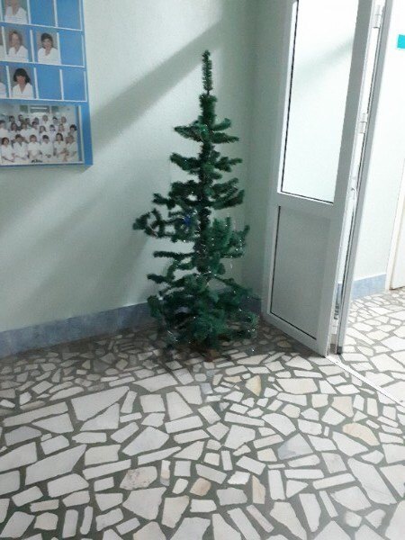 Christmas mood come - Christmas trees, New Year, Hospital