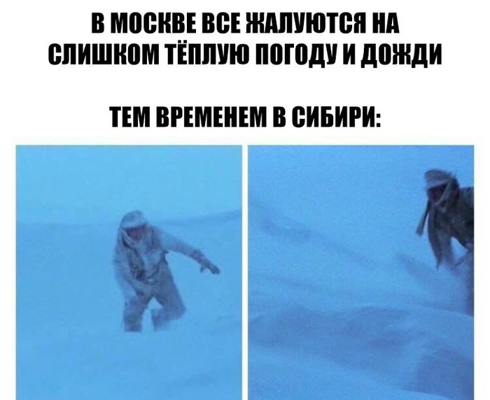 Meanwhile in Siberia - Memes, The photo, Humor