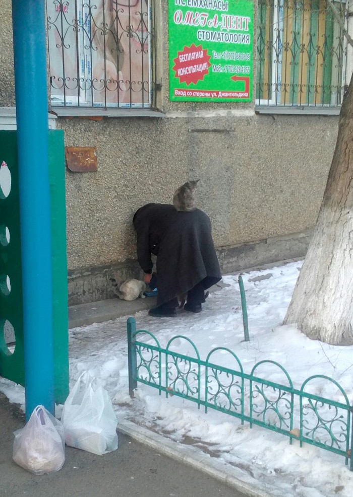 ��� ���� ������� ����, ����� ������