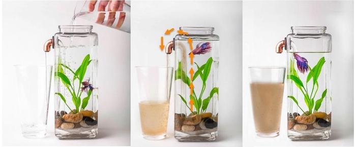 Аквариум самоочищающийся My Fun Fish