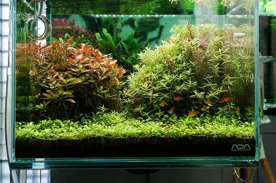 Интересный наник - ничего лишнего