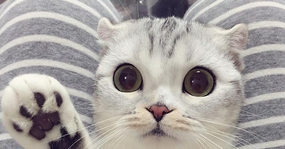 Ничего милее нет маминой улыбки автор. Высказывания про фей. Стих мамина улыбка. Ничем милая. Ничем милая.