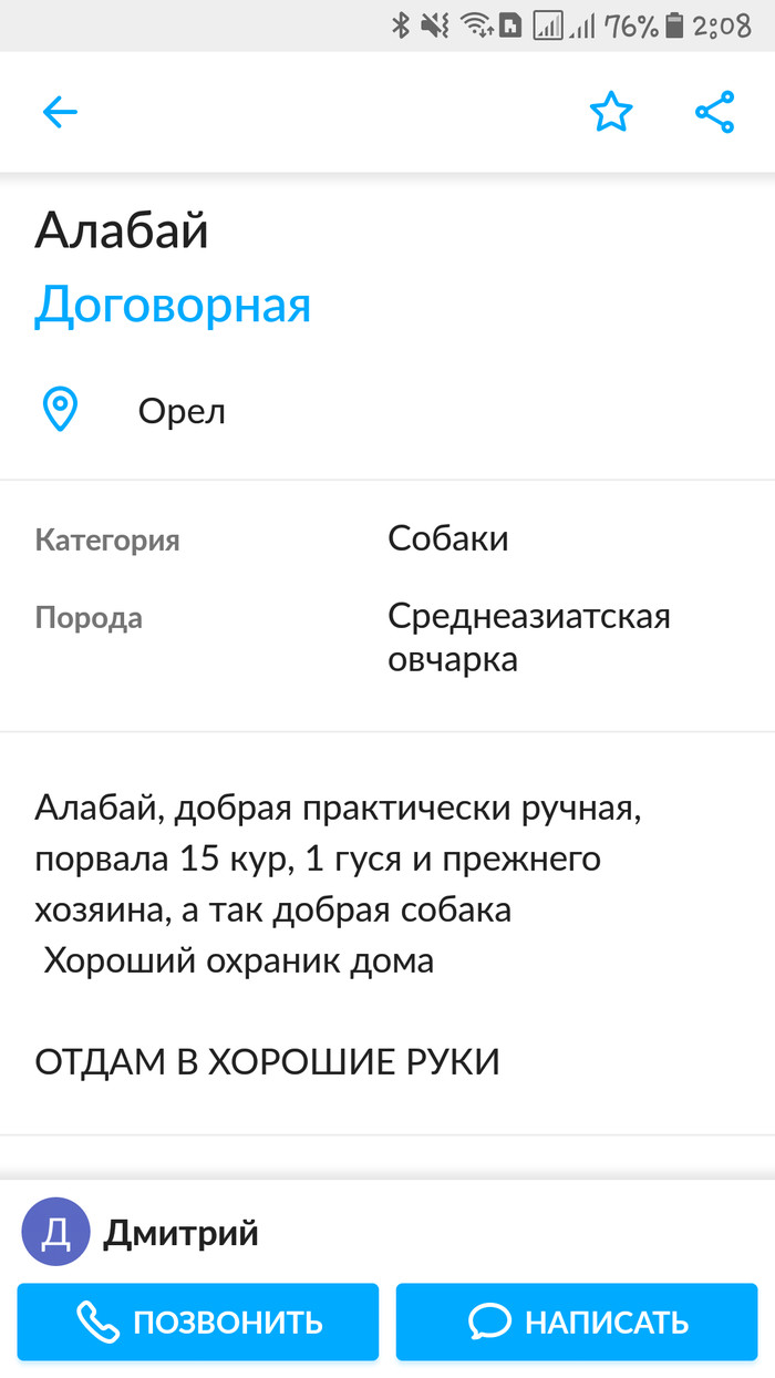 Добрый алабай - Моё, Объявление на авито, Собака, Алабай, Доброта, Душа, Длиннопост