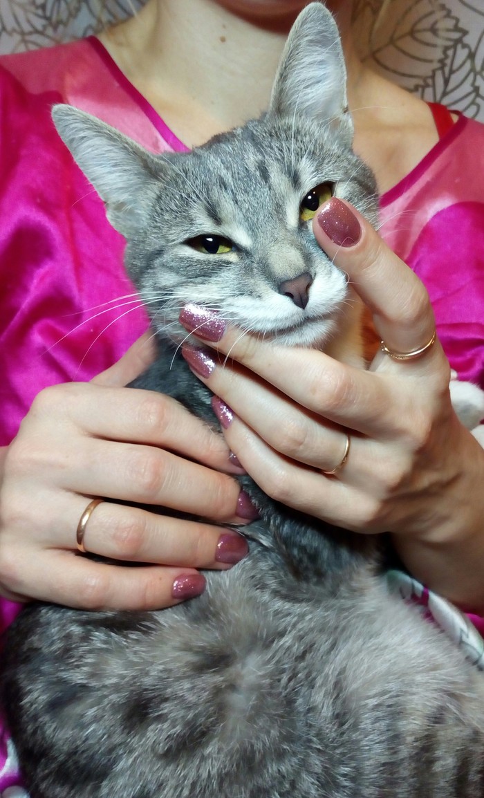 ���� ��������� �������� �����, ����� ������ �� ���� ������.