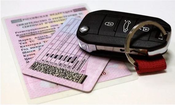 Profitable scam in the return of driver's licenses - Fraud, Rights, Driver, Driver's license