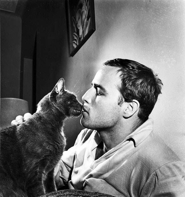 Young Marlon Brando - Men, Actors and actresses, Male beauty, Old photo, Marlon Brando, Girls, Longpost, beauty