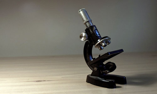 Microscope ... be honest. - Microscope, Zhivchik, The photo