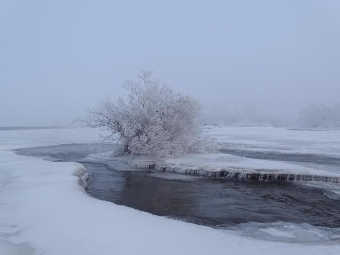 Winter morning on the river Razdolnaya (Suifun) - My, Дальний Восток, Primorsky Krai, Oktyabrsky District, Razdolnaya River, Winter, Morning, beauty