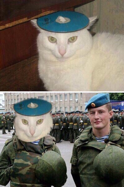 Per DVD - cat, Airborne forces