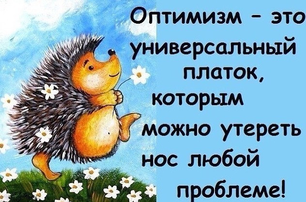 Do not grieve over trifles! Everything passes ))) - Optimist, Solution, Humor, Fun, Optimism, 