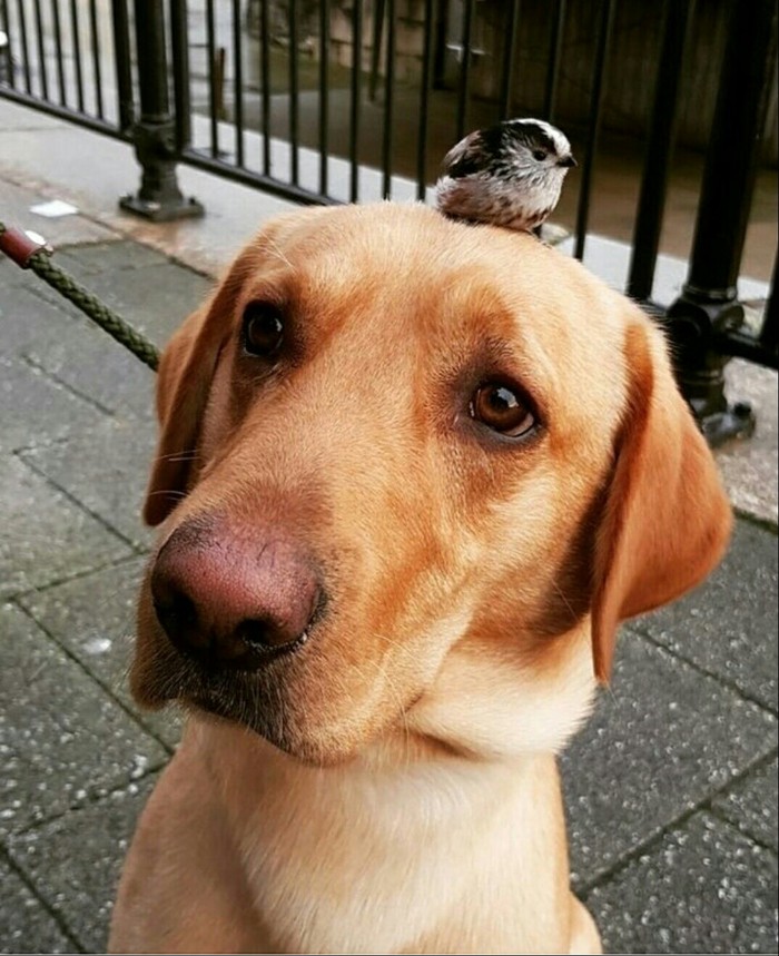 " ,    ?" , , , 