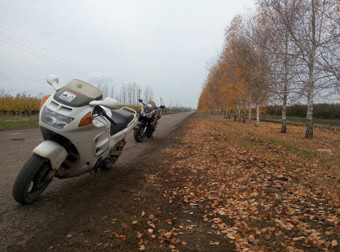 Autumn. - My, Moto, Autumn, Road