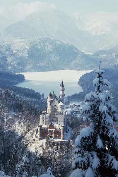 Winter Neuschwanstein - Winter, Snow, Lock, Architecture, Winter's tale, Longpost