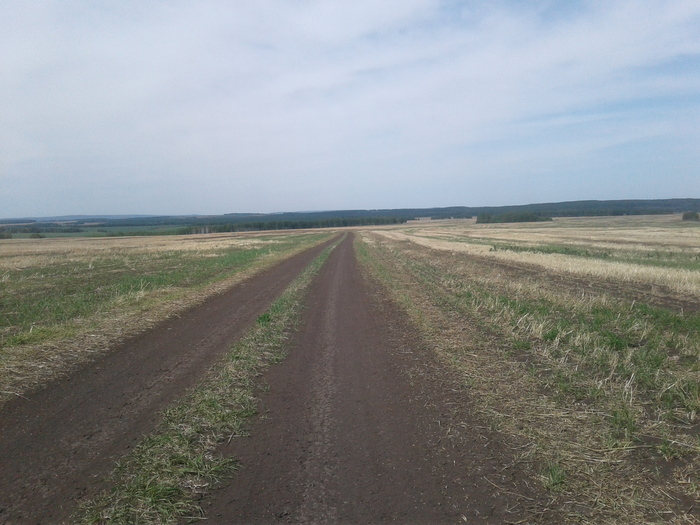 Road - My, Field, Road, , Dust