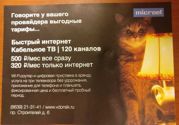When the provider knows a lot about advertising - My, Cat with lamp, Creative advertising