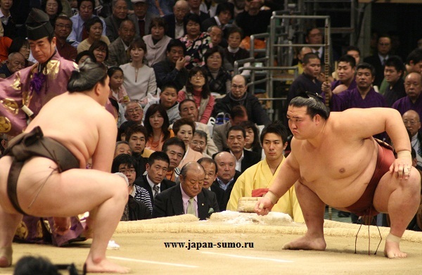 Ethics in sports. - My, Sumo, Japanese, Athletes, Interesting, Fight, Asians, Stories, Customs, Video, Longpost, Life stories
