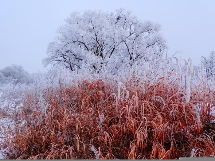 Colors of mother winter! - My, Дальний Восток, Primorsky Krai, Oktyabrsky District, Winter, Paints, beauty