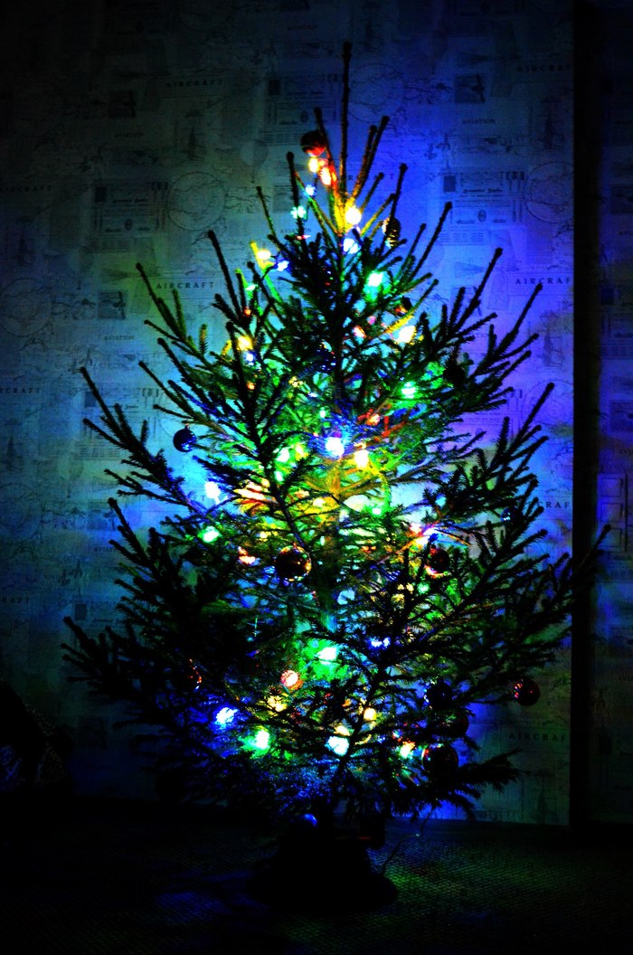 ��� ���������� ����