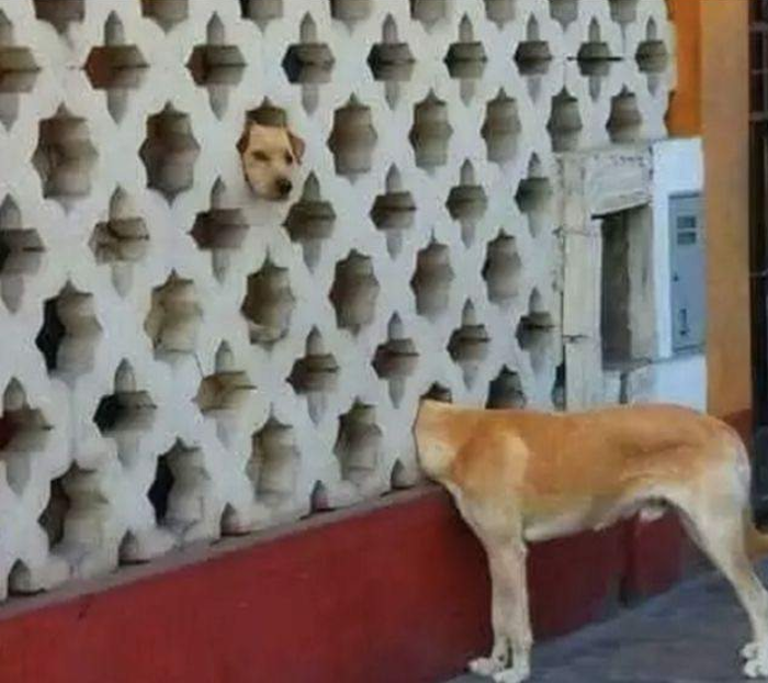 ....
