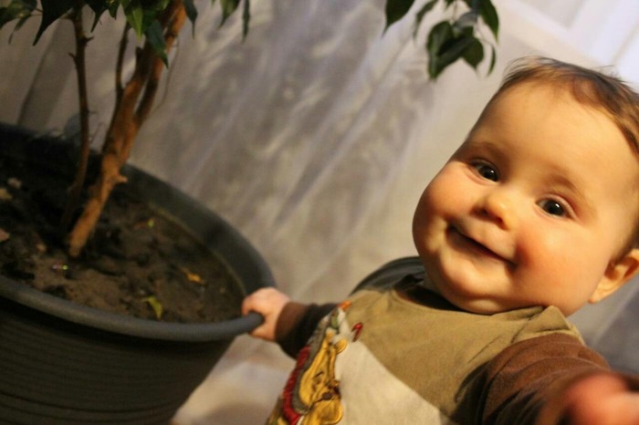 Hello, this is Johnny Knoxville and now I'm going to eat the earth - My, Freaks, Johnny Knoxville, Selfie, Children, Ficus