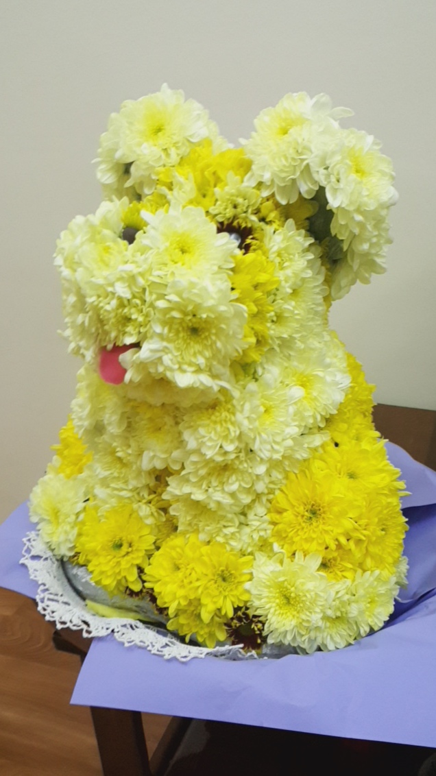 flower dog - My, Dog, New Year, Handmade, Flowers, Longpost