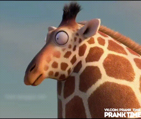 Утро 1 января