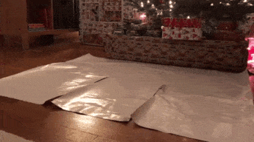 A cute and obedient New Year's gift - Corgi, New Year, Presents, GIF
