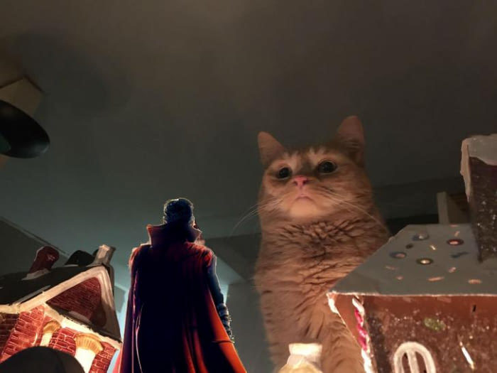 This evil santa cat gets what he deserves - cat, , Photoshop, New Year, Longpost