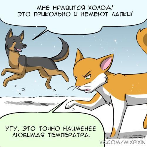 Snow - My, Translation, Comics, GIF with background, Kat swenski, cat, GIF, Longpost, Dog