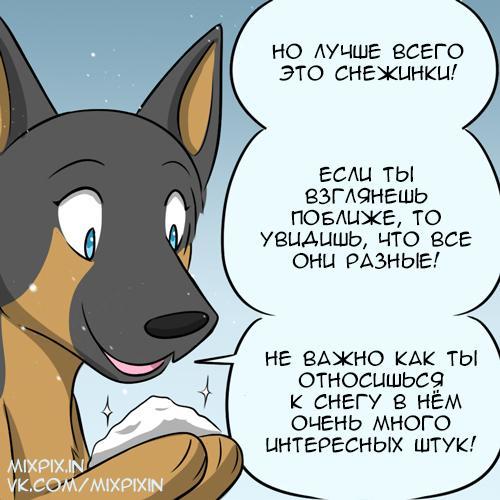 Snow - My, Translation, Comics, GIF with background, Kat swenski, cat, GIF, Longpost, Dog