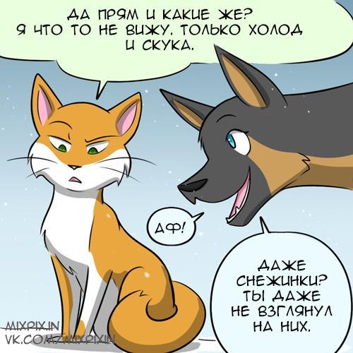 Snow - My, Translation, Comics, GIF with background, Kat swenski, cat, GIF, Longpost, Dog