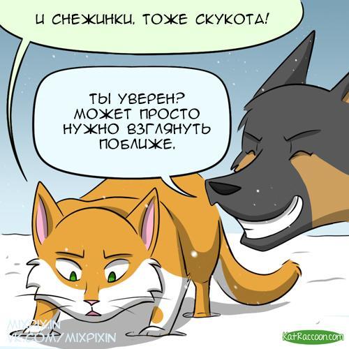 Snow - My, Translation, Comics, GIF with background, Kat swenski, cat, GIF, Longpost, Dog