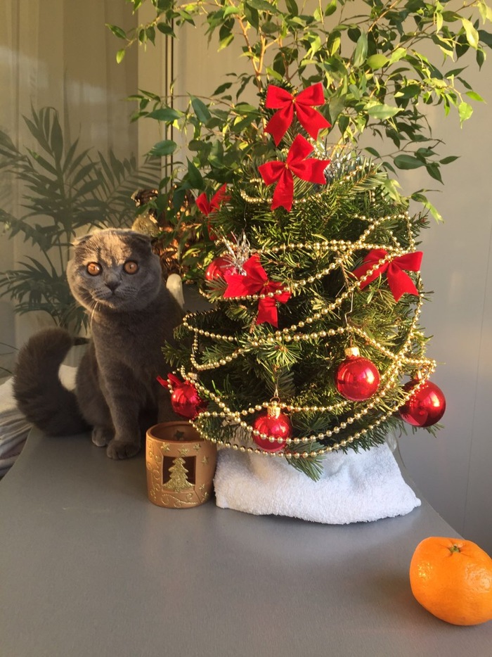 � ���� ���� ����� ���)