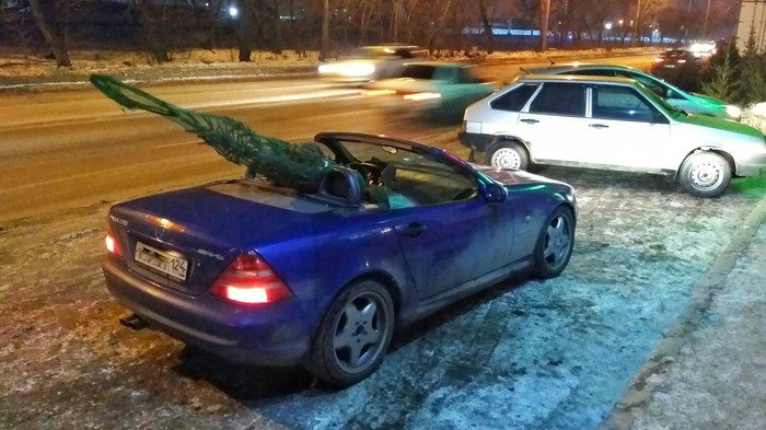 Solution - Christmas trees, New Year, My, Winter, Cabriolet