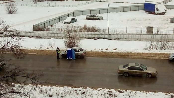 Ded Moroz and Snegurochka give Ulyanovsk drivers “sobriety vitamins” - Ulyanovsk, Ulyanovsk region, Father Frost, Snow Maiden, Longpost